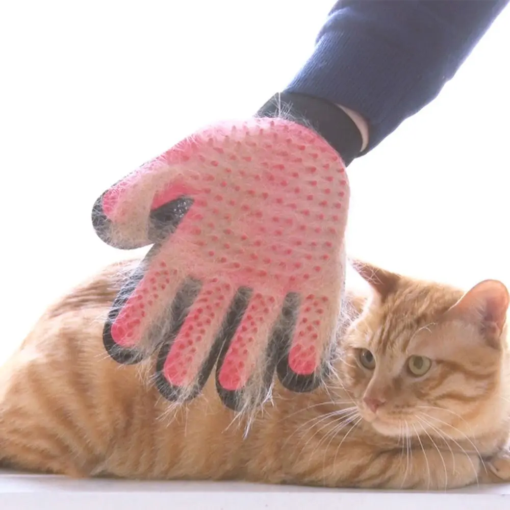 cat brush hand glove