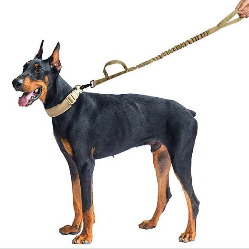 bungee leash for large dogs