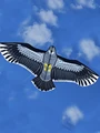 New Toys 1.8m Power  Brand  Huge Eagle Kite With String And Handle Novelty Toy Kites Eagles Large Flying preview-2