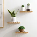 1/2/3PCS Bamboo Living Room Decoration Hanger Wall Hanging Flower Shelf Bedroom Wall Partition Storage Rack For Flowers Plants preview-2