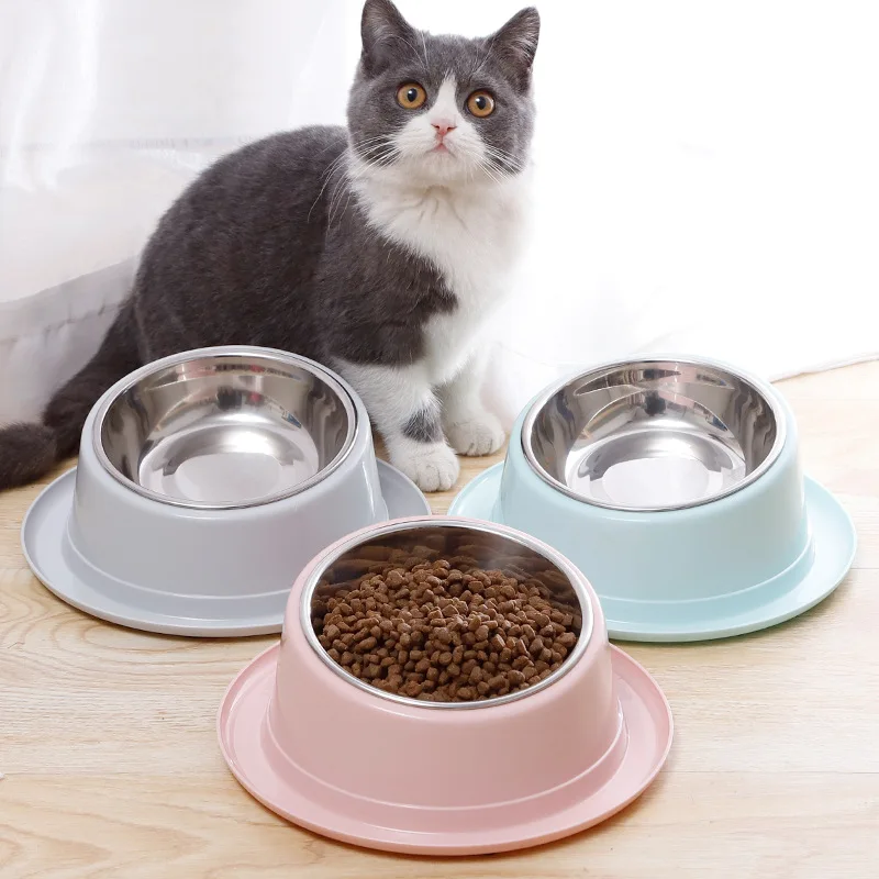 Cat Feeder Slope Anti-Ant Food Bowl For Cat Pet Accessories Dog Bowl Quality Stainless Steel Container For Cats Pet Supplies-animated-img