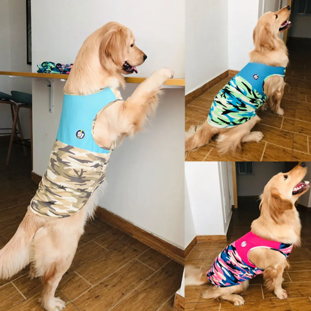 labrador dog dress