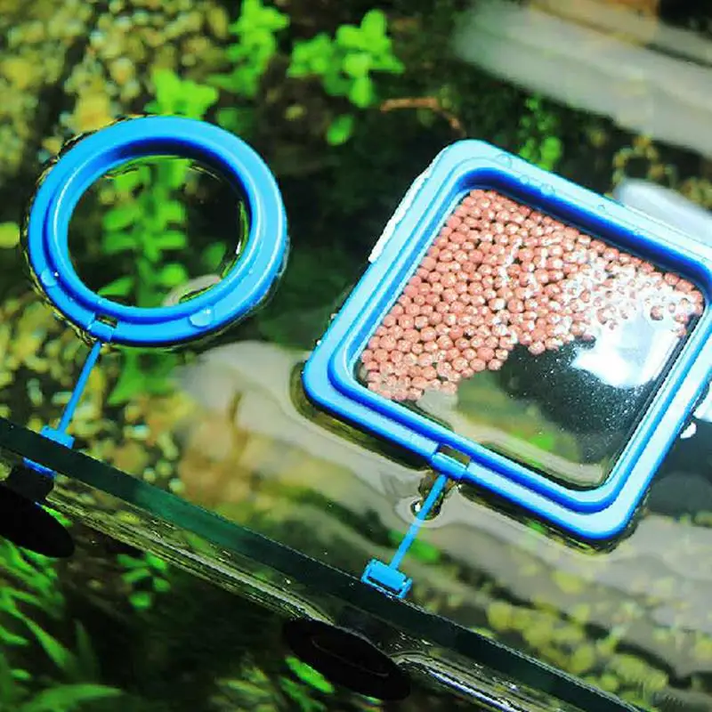 fish feeding ring for aquarium