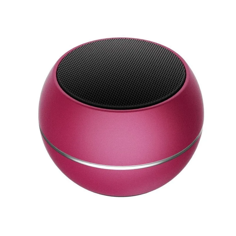 speaker with voice control