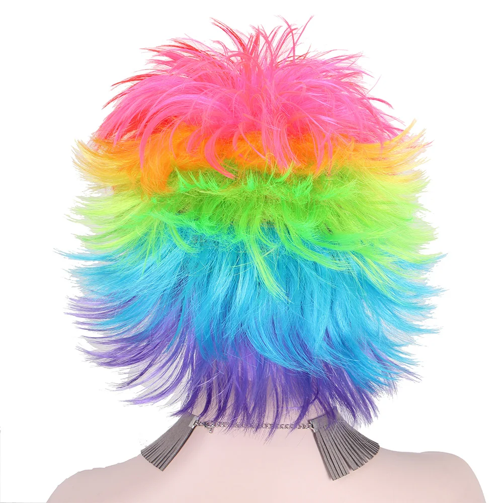 rainbow wig for men