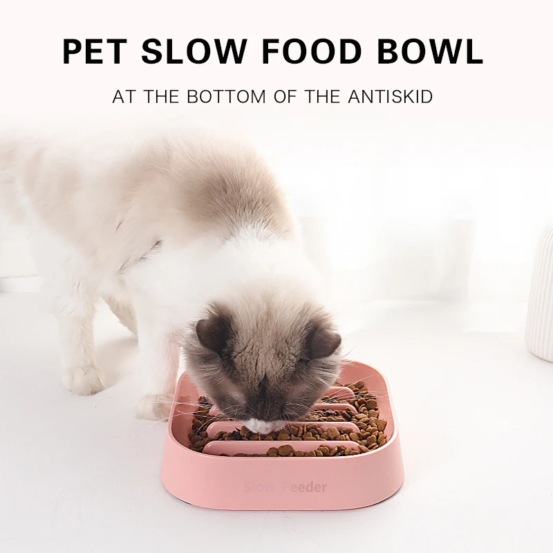 puppy training food bowl