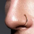 Fake Piering Nose Ring Earrings Fashion Punk Non Piercing Stainless Steel Perforation Septum Women Men Nasal Ring Body Jewelry