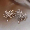 Rhinestone Imitation Pearl Stud Earrings For Women Korean Style Double Row Pearl Zircon Earring Elegant Christmas Party Jewelry preview-1