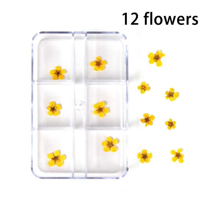 1 Box 3D Dried Flower Nail Decoration Natural Floral Sticker Mixed Dry  Flower DIY Nail Art Decals Jewelry UV Gel Polish Manicure 