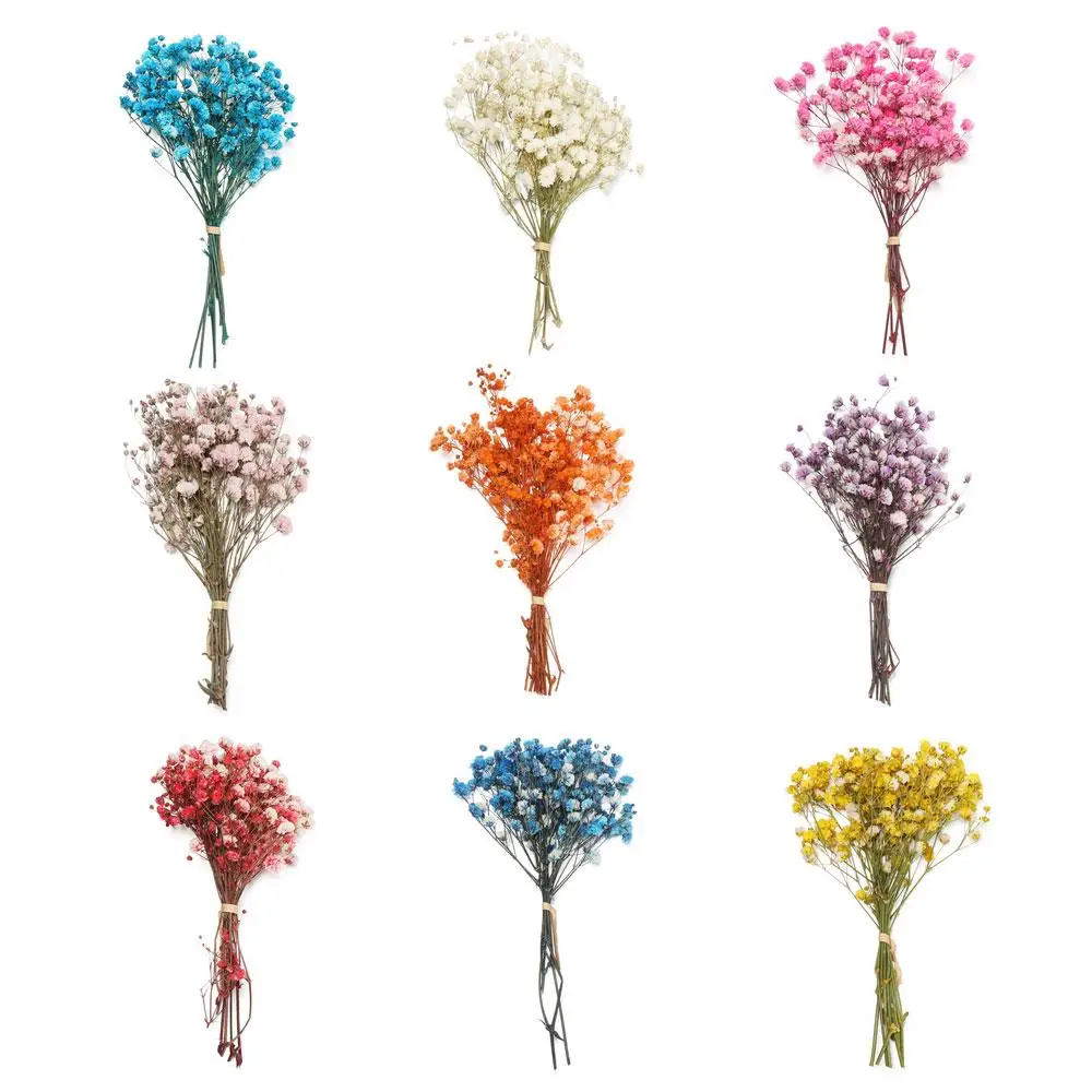 Small Natural Dried Flowers Bouquet Natural Dried Bouquets Fresh Dried  Preserved Flowers Dry Flowers Press Home