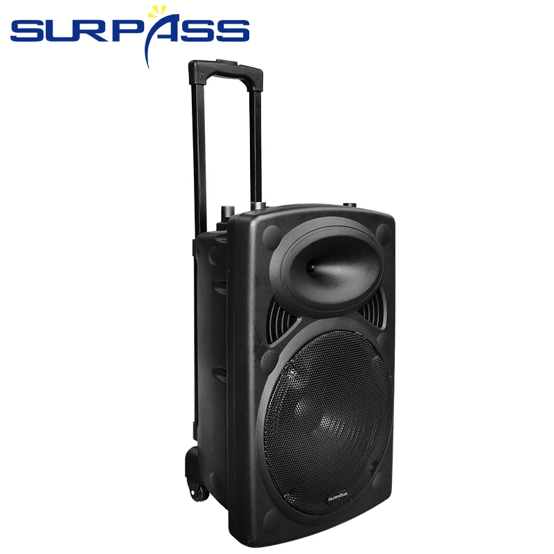 speaker sound 12 inch