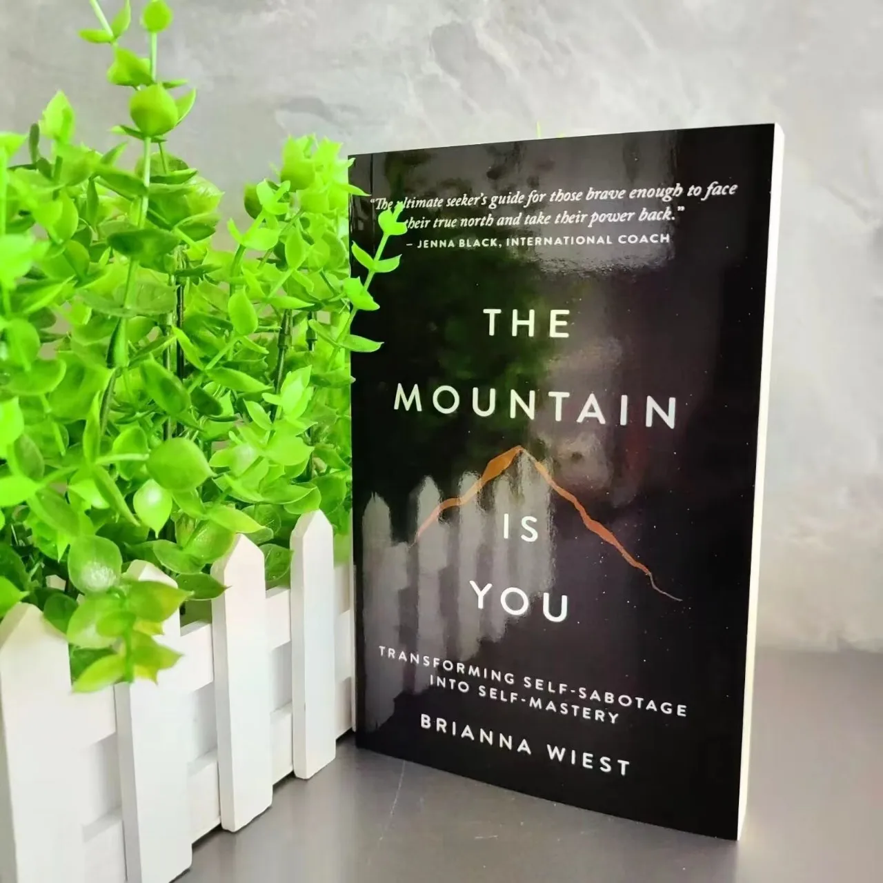 The Mountain Is You: Transforming Self-Sabotage Into Self-mastery English Books-animated-img