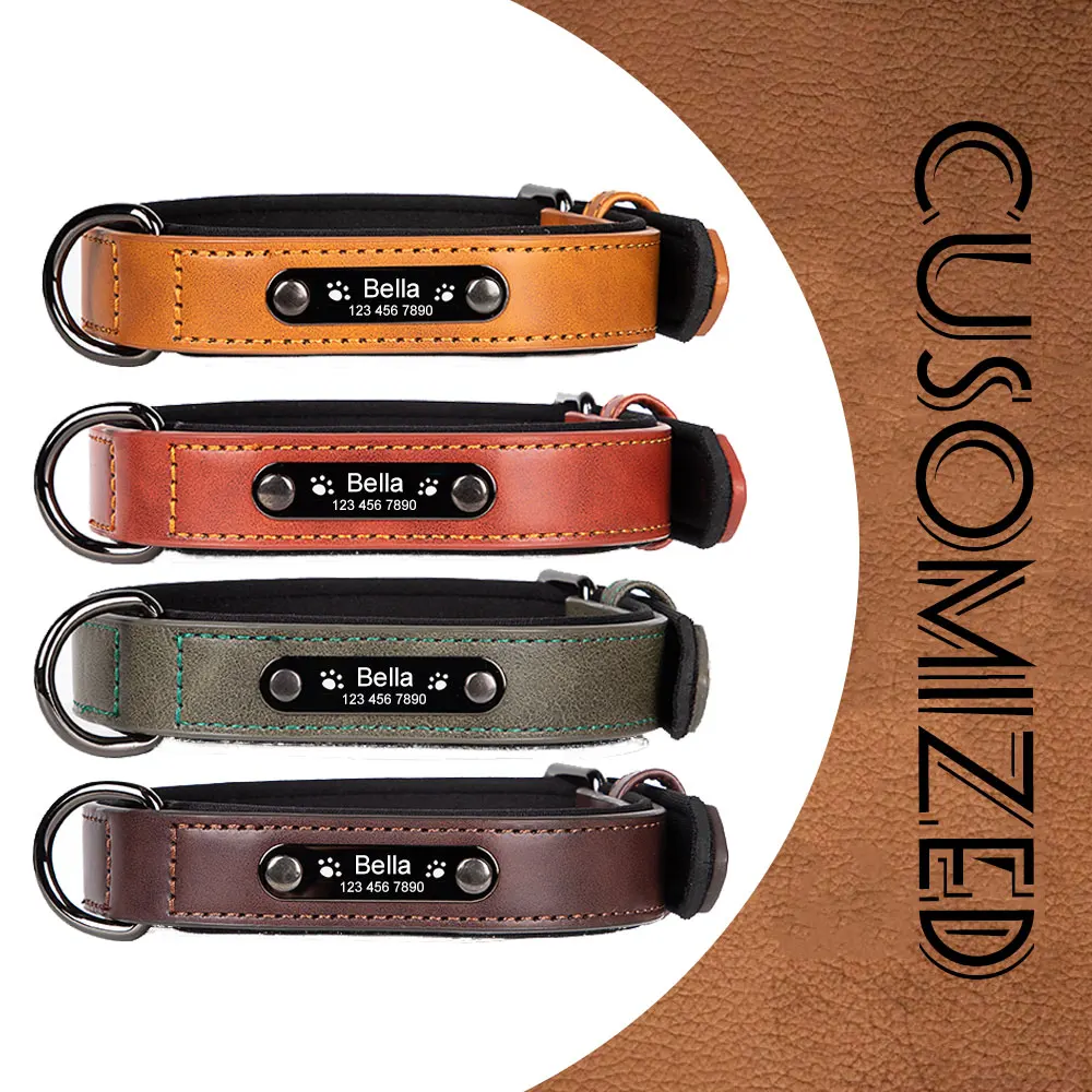 Personalized Leather Dog Collars Breakaway Padded Engrave Name Customized Dog Collars Dog Leash for Small Large Dog Accessories-animated-img