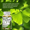 ByurWill Strength Ginkgo Biloba Capsules - Boost Brain, Support Memory, Energy & Circulation - Premium Non-GMO/Vegan Superfood preview-4