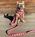 Dog Harness Leash Set Breathable Adjustable Traction Leash with Dog Harness Vest for Small Large Dogs French Bulldog Pug Leash preview-5