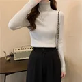 Autumn/winter New Polo/turtle Neck Slim Fit Women's Green Sweater Base Layer Top Stylish Inner Long Sleeve Knitted Top preview-2