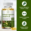 BBEEAAUU Plant Extract Capsule Fadogia Agrestis Extract for Male Health Immune,Fatigue Emotional,Stimulating &Energy Support preview-3