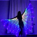 LED Luminous Butterfly Wing Belly Dancing Performance Costumes stage Festival Party Lighting Cloak Luminous Butterfly Wing preview-2