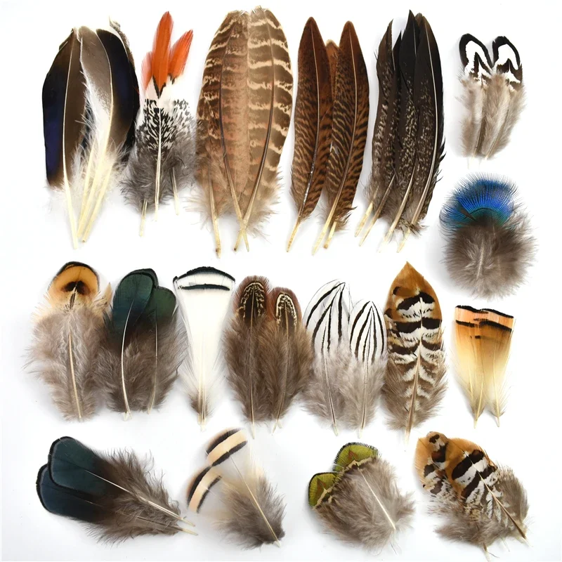 10Pcs/Lot Natural Plume Lady Amherst Pheasant Feathers For Crafts