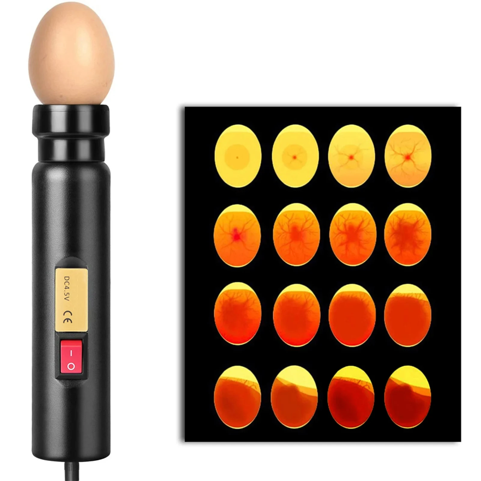 Egg Candler for Monitoring Eggs Development Wholesales price high quality egg tester/egg candler for incubator test eggs chicken-animated-img