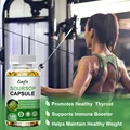 Catfit Soursop Graviola Leaves Capsules for Cell Support,Regeneration,Stress Relief,Immune Digestion Cellular Beauty Health preview-5