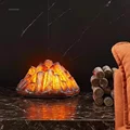 Bare Carbon Decoration Ornamental Electric Fireplace Simulation Flame Light Restaurant Hotel Outdoor Fake Fire Pile Fireplace B preview-1