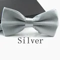 9004 Silver White