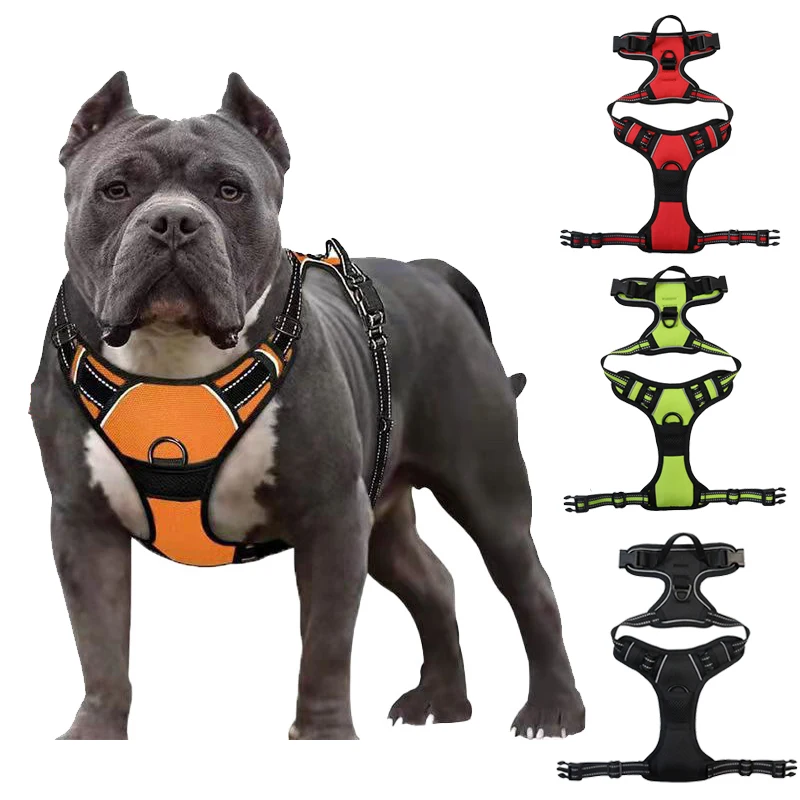 strap harness dog