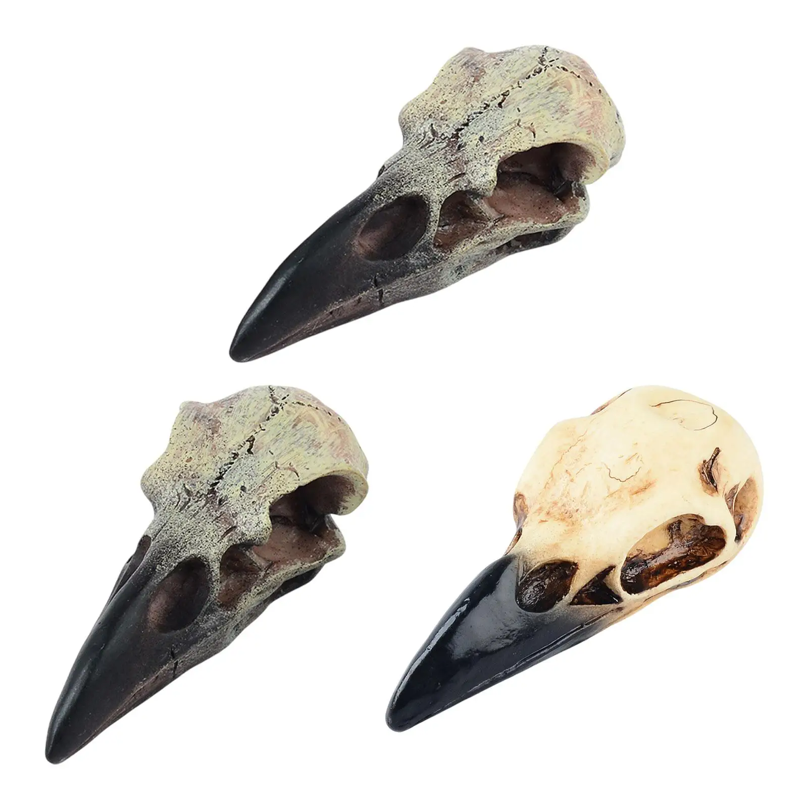 Raven Skull Decor Wall Sculpture Pendant Halloween Decor Raven Skull Statue for Tabletop Holiday Desk Party Indoor Outdoor-animated-img