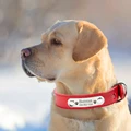 Personalized PU Leather Dog Collar Durable Adjustable Engrave Name ID Tag Customized Collar for Pet Small Medium Large Dog Puppy preview-5