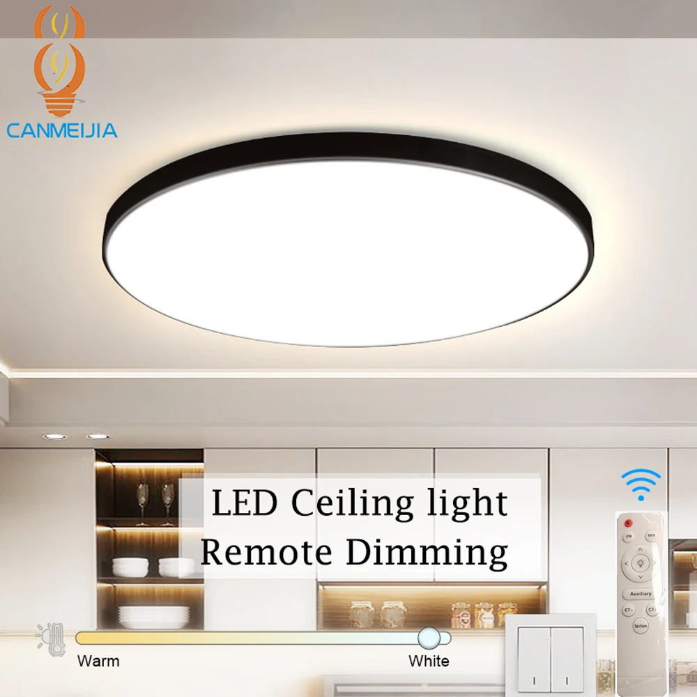 Dimmable Ceiling Light Led Panel Room Bedroom Lighting Mosquito Chandelier Kitchen Lamps Lustre Fixture 220V LED Lamp Ceiling-animated-img