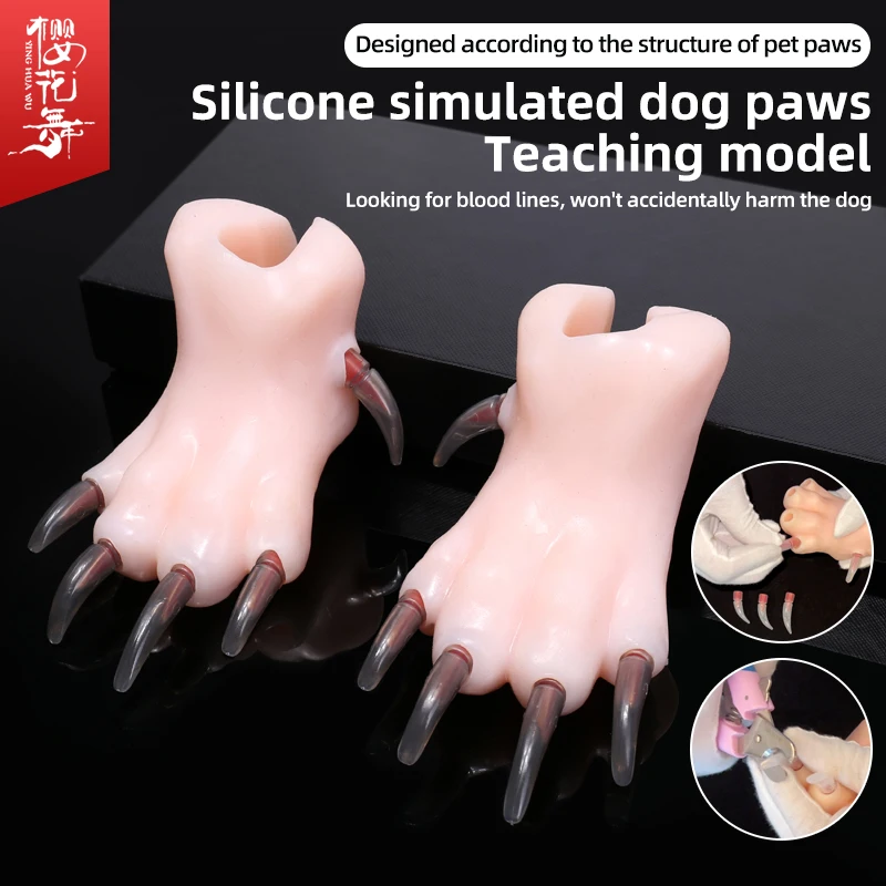 Silicone simulation dog paw teaching model, pet beauty school teaching, junior pet beauticians practicing cutting dog nails-animated-img