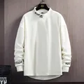 2022 New Tide Brand Velvet Casual Sweater Mens Spring Autumn Printing Bottoming Shirt Male Plus Size Trend Long-sleeved T-shirt preview-4
