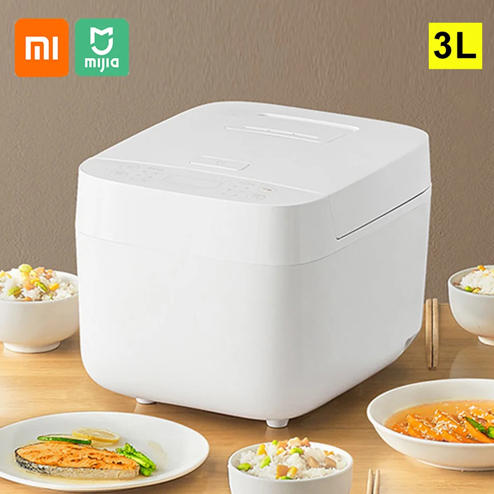 rice cooker for 2 person