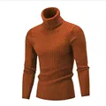 Turtleneck Sweaters Autumn Winter Male Long Sleeve Knitted Slim Twist Pullover Sweaters ZJFS-1515*04 preview-2