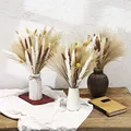 60Pcs Natural Dried Pampas Grass Boho Decor Fluffy White Pompous Reed Bunny Tail Wheat Stalk Decorative Wedding Flower Bouquet preview-2
