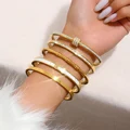 Europe and the United States hot stainless steel four-leaf clover lucky bracelet fashion women's nail bracelet gold bangles preview-2