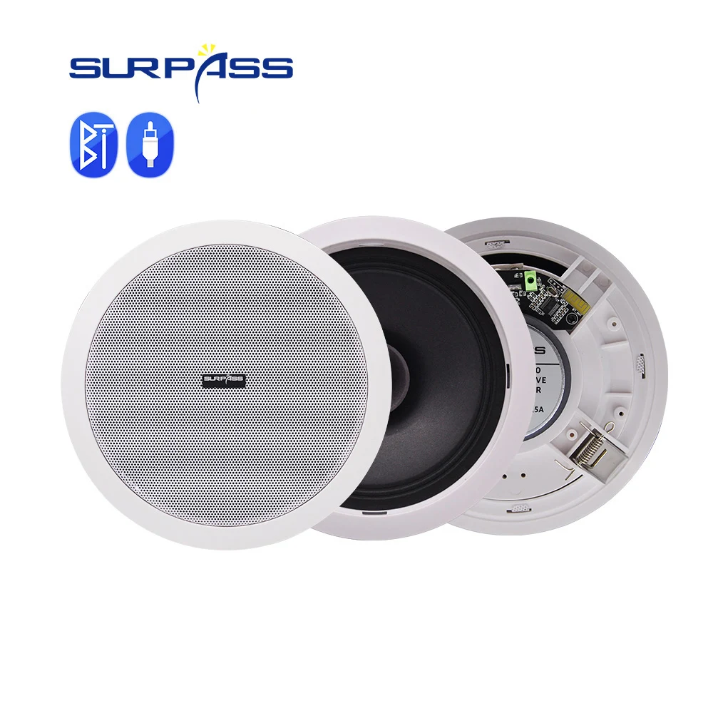 ceiling speaker with built in amplifier