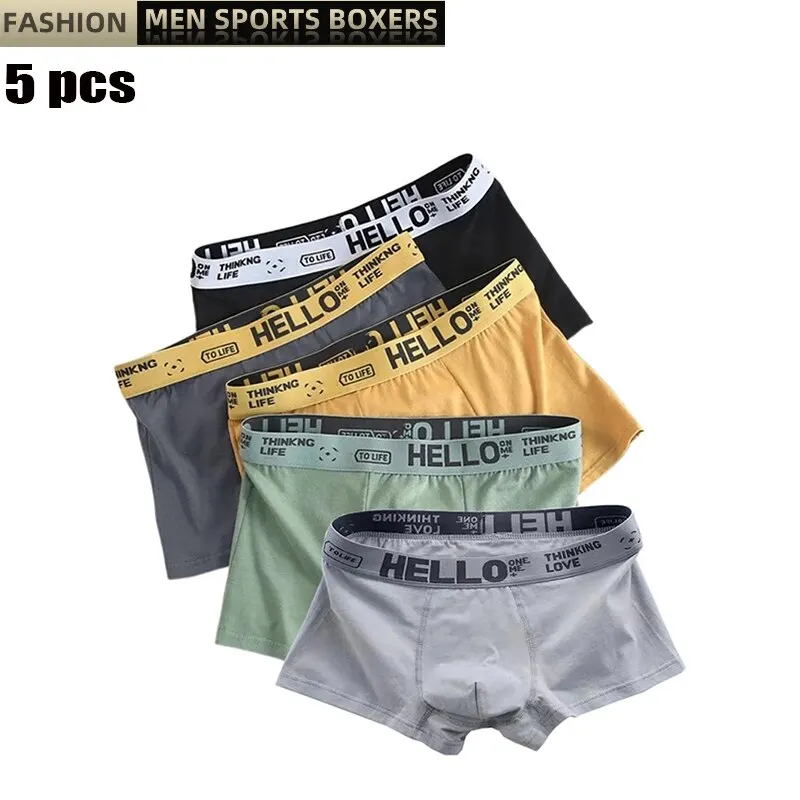 10 Pieces Men Boxers Shorts Underpants Underwear 2XL 3XL 4XL 10