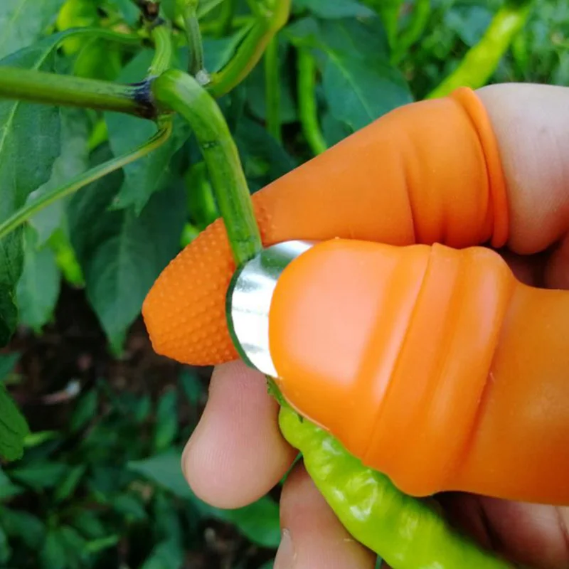 farm-vegetable-fruit-picker-pickle-pepper