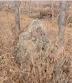 5Pcs Adult Ghillie Suit Hunter Camouflage Clothing gillie suit Hunting Suit Birding Clothes preview-2