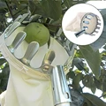 Metal Fruit Picker for Gardening Orchard Apple Peach High Tree Picking Tool Fruit Collection Pouch Portable Garden Accessories preview-2