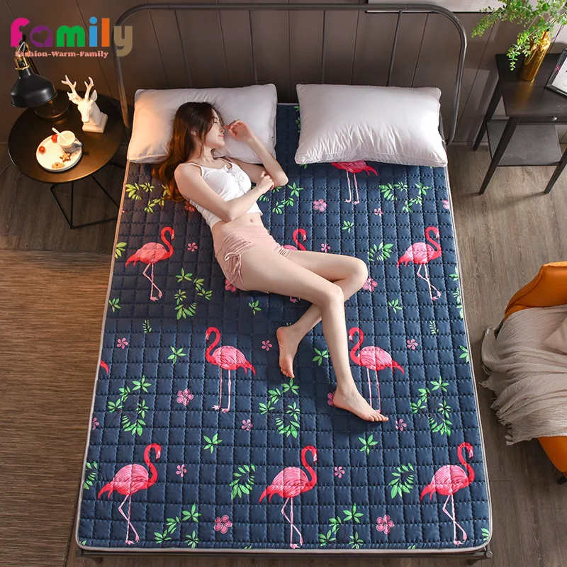 Sleeping Pad with Elastic Straps, Cool Bed Mat Kit, Cartoon Flamingo Quilting, Mattress Protection, Summer-animated-img