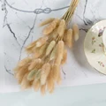 60Pcs Natural Dried Pampas Grass Boho Decor Fluffy White Pompous Reed Bunny Tail Wheat Stalk Decorative Wedding Flower Bouquet preview-5
