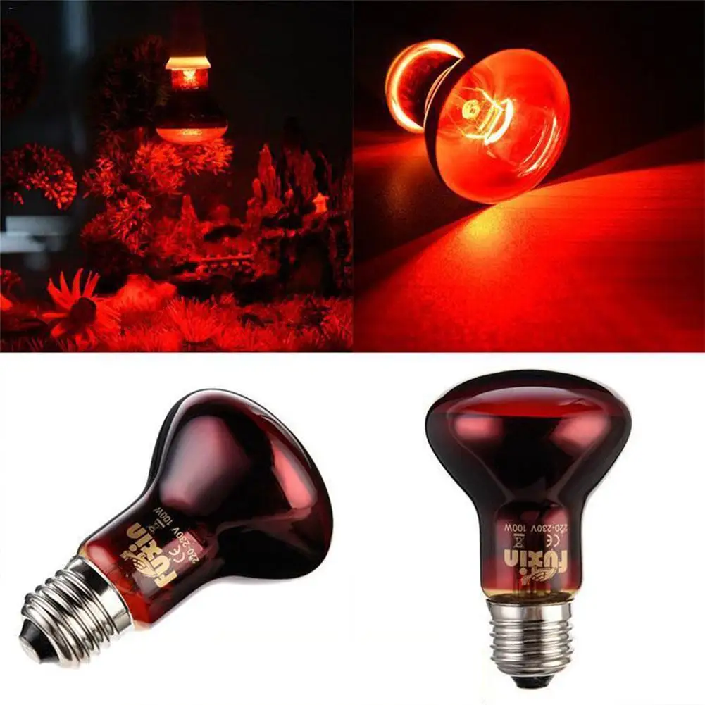 led heat lamp