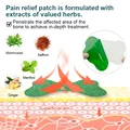 60pcs Lumbar Pain Relief Patch Wormwood Analgesic Back Plaster Spondylosis Pain Anti Inflammatory Chinese Herbal Medical Plaster preview-5