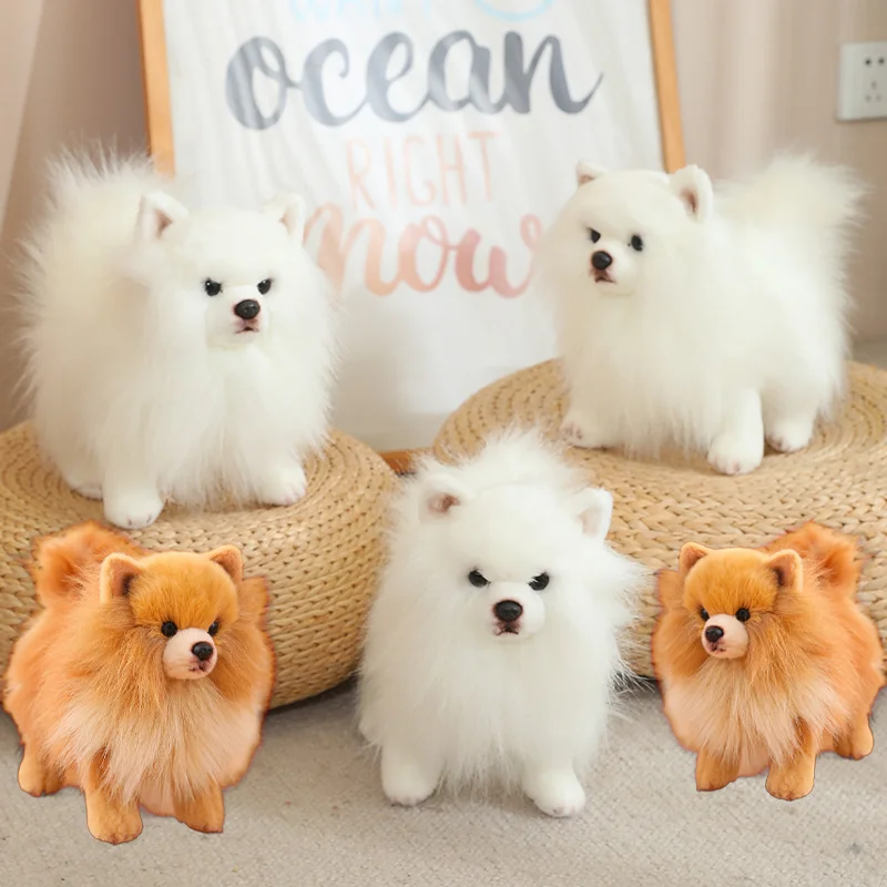 Simulation Cute Real Life Pomeranian Dog Plush Toy Kawaii Stuffed Animal Soft Puppy Pet Doll for Kids Girl Xmas Gifts Home Decor-animated-img