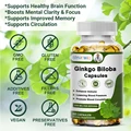 ByurWill Strength Ginkgo Biloba Capsules - Boost Brain, Support Memory, Energy & Circulation - Premium Non-GMO/Vegan Superfood preview-1