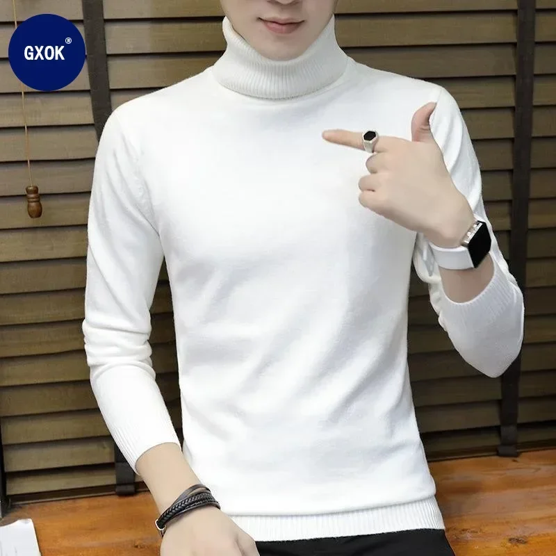 Winter Turtleneck Thick Mens Sweaters Casual Turtle Neck Solid Color  Quality