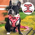 Dog Harness Leash Set Breathable Adjustable Traction Leash with Dog Harness Vest for Small Large Dogs French Bulldog Pug Leash preview-1